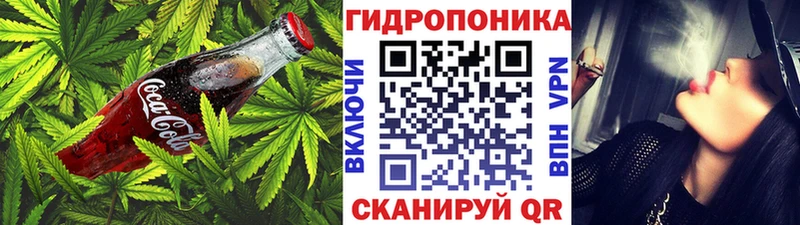 hydra ONION  Камышин  Canna-Cookies конопля 