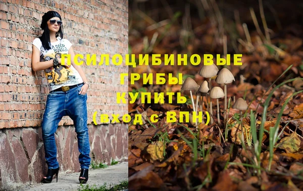 сатива Зеленодольск