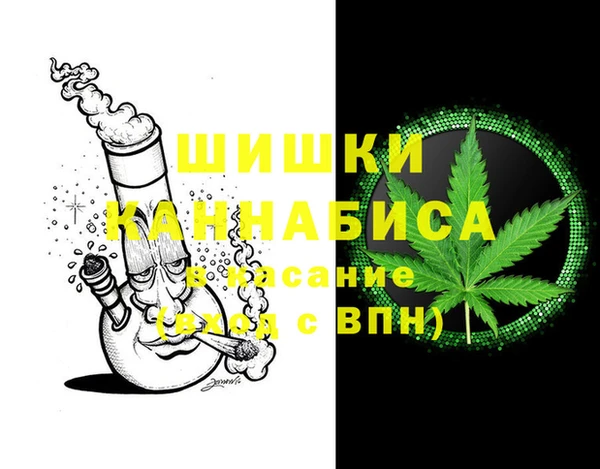 сатива Зеленодольск