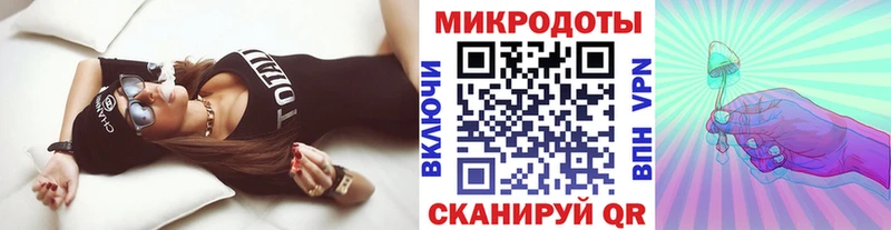 Галлюциногенные грибы MAGIC MUSHROOMS  как найти закладки  MEGA зеркало  Камышин 