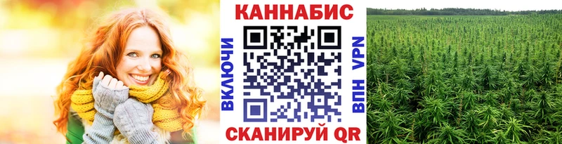 Каннабис гибрид  Камышин 